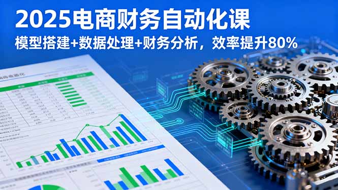 2025电商财务自动化课，模型搭建+数据处理+财务分析，效率提升80%