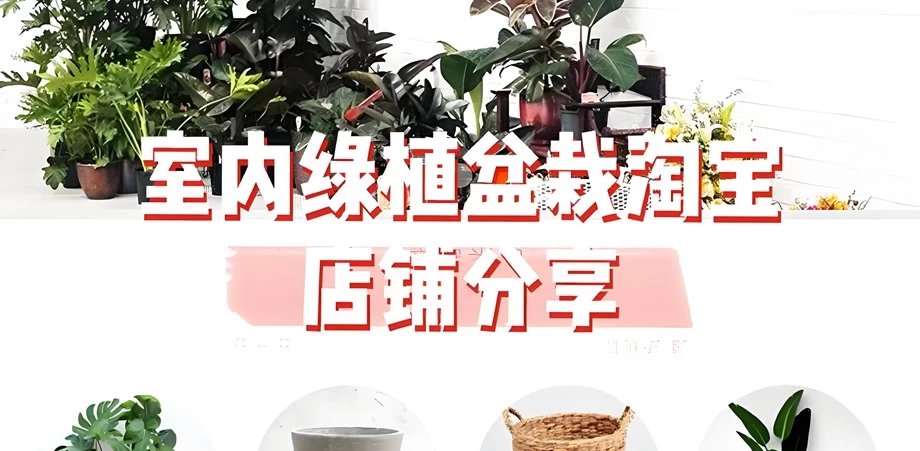 淘宝上开店卖绿植怎么样？开一家绿植店有前景吗