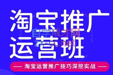 美迪电商·淘宝高级运营班+推广运营班(更新9月)