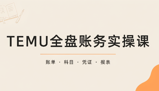 TEMU全盘账务实操课:账单导出、科目设置、利润核算