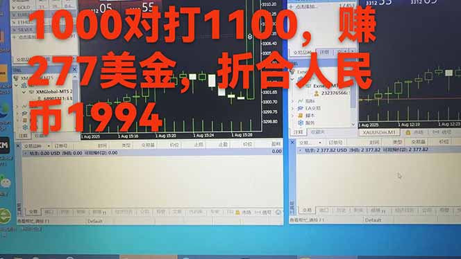 稳定8年的美刀搬砖项目，单人每日收益800—3000.团队4人月入10W+.可线下