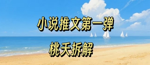 小说推文项目操作全流程第一弹，0粉就能做，门槛低非常适合新手