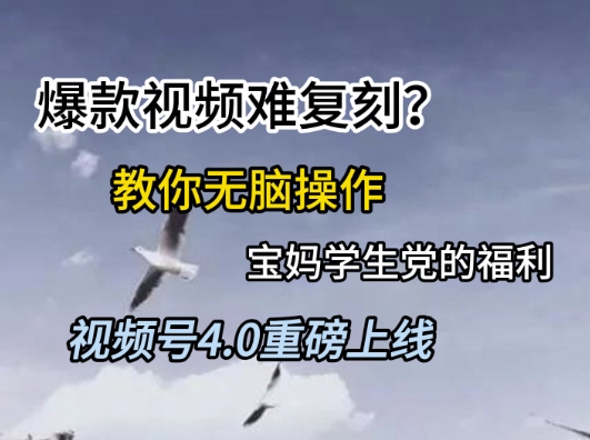 视频号4.0重磅上线，爆款视频难复刻？教你无脑操作宝妈学生党的福利【揭秘】