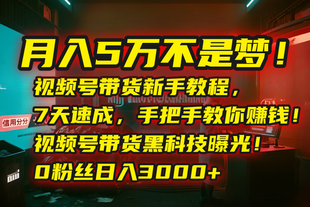 月入5万不是梦！视频号带货新手教程，7天速成，手把手教你赚钱！视频号...