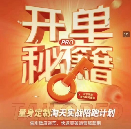 淘宝开单秘籍PRO，量身定制淘天实战陪跑计划，告别做店迷茫、快速突破运营瓶颈期(更新)