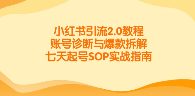 小红书引流2.0教程，账号诊断与爆款拆解，七天起号SOP实战指南