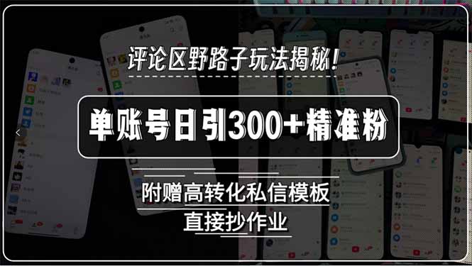 评论区野路子玩法揭秘！单账号日引300+精准粉，附赠高转化私信模板，直...