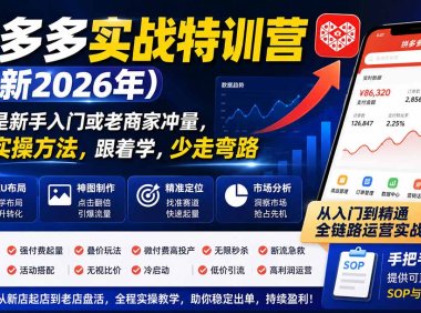 拼多多实战特训营(更新26年9月