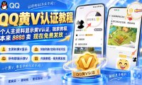 QQ黄V认证教程，个人主资料显示黄V认证，独家教程，本来 8888 卖 现在免费发放