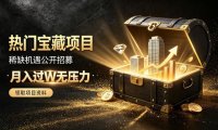 稀缺宝藏项目公开招募，低风险入局解锁月入过1W+机会【揭秘】