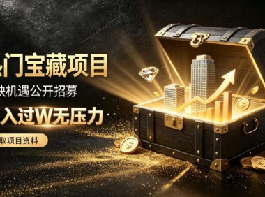 稀缺宝藏项目公开招募，低风险入局解锁月入过1W+机会【揭秘】