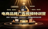 电商品牌广告视频特训:直效广告底层逻辑,AI内容生产,品牌接单变现全流程