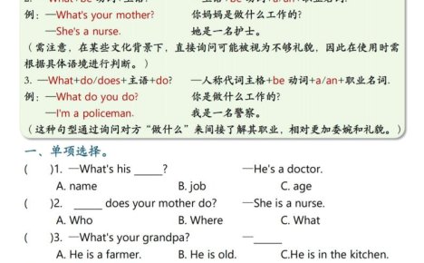 26秋四上英语语法重难点突破18页
