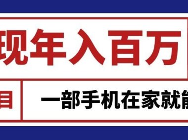 通过网创平台“卖项目”实现年入百万,一部手机在家就能做!