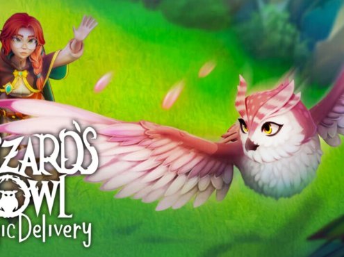 【美版】巫师猫头鹰：魔法快递 Wizards Owl: Magic Delivery 英语