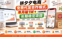 拼夕夕电商免费代发合作模式,单月破1W+(名额有限)长期稳定项目【揭秘】