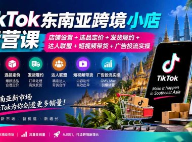 TikTok东南亚跨境小店运营课:店铺设置+选品定价+发货履约+达人联盟+短视频带货+广告投流实操
