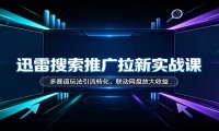 迅雷搜索推广拉新实战课:多赛道玩法引流转化,联动网盘放大收益