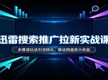 迅雷搜索推广拉新实战课:多赛道玩法引流转化,联动网盘放大收益