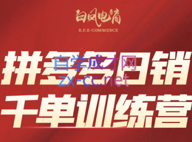 白凤电商·拼多多日销千单训练营(更新9月)