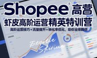 Shopee虾皮高阶运营精英特训营,高阶运营技巧+流量提升+转化率优化,助你业绩翻倍(更新26年9月)