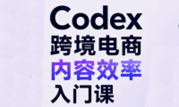Codex跨境电商内容效率入门课