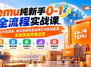 Temu纯新手0-1全流程实战课:从开店准备、模式选择到发品核价与新品起量,系统掌握跨境运营
