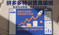 拼多多特训营高阶班,独家玩法赋能,突破运营天花板(更新260925)