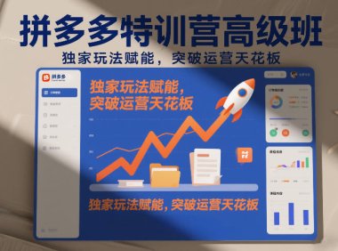 拼多多特训营高阶班,独家玩法赋能,突破运营天花板(更新260925)