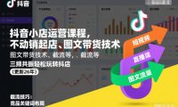 抖音小店运营课程,不动销起店、图文带货技术、截流等,三频共振轻松玩转抖店(更新260928)