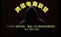 跨境电商联营,一个不一样的电商,普通人可操作日入300-500+