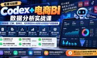 Codex+电商BI数据分析实战课-更新：从销售额、订单、客单价、毛利率到SKU动销与流量投产完整建模
