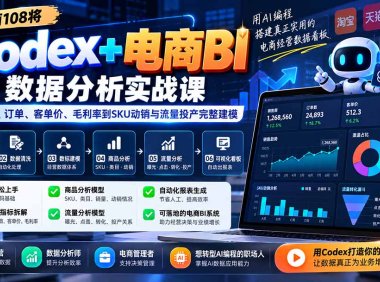 Codex+电商BI数据分析实战课-更新：从销售额、订单、客单价、毛利率到SKU动销与流量投产完整建模