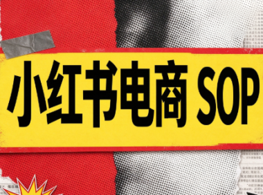 书豪必胜小红书电商sop(更新9月)
