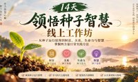 14天领悟种子智慧线上工作坊|从种子运行原理到财富、关系、生命力与智慧,掌握四力量日常实践方法