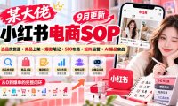 某大佬小红书电商SOP|9月更新:选品找货源+商品上架+爆款笔记+SEO布局+矩阵运营+AI爆品实战