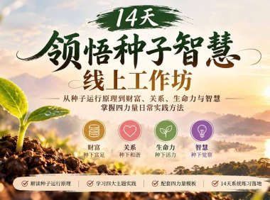 14天领悟种子智慧线上工作坊|从种子运行原理到财富、关系、生命力与智慧,掌握四力量日常实践方法