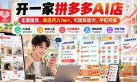 开一家拼多多AI店,无需囤货,单店月入1w+,可矩阵放大,手机可做【揭秘】
