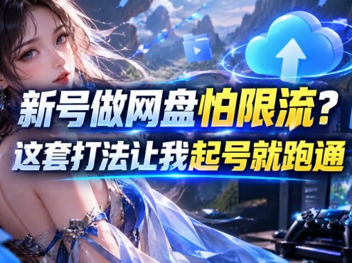 新号做网盘怕限流?这套打法让我起号就跑通,网盘项目推广的8.0版本教学