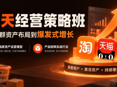 淘天经营策略班,从人群资产布局到爆发式增长,独家资产运营模型,产品矩阵实战打法