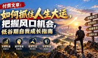 付费文章:如何抓住人生大运,把握风口机会,低谷期自我成长指南