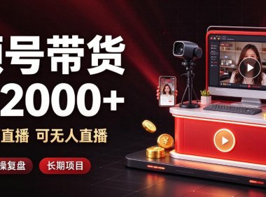 通过视频号带货日入2k+,可纯视频可直播可无人直播,多种玩法,长期项目【揭秘】