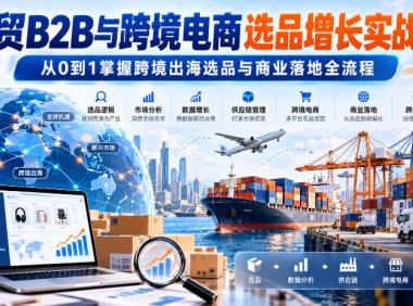 外贸B2B与跨境电商选品增长实战课,从0到1掌握跨境出海选品与商业落地全流程