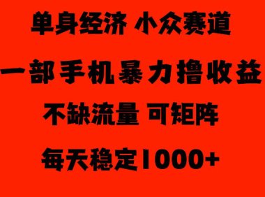 26年暴力单身经济,稳定日入500-1k,不缺流量,流量极大,冷门小众赛道,门槛低小白轻松上手【揭秘】