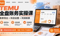 TEMU全盘账务实操课|账单导出+科目设置+利润核算,跨境卖家做账全教学,吃透TEMU平台账务