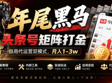【年尾黑马】头条号矩阵打金,自用代运营双模式,月入1-3w,附全套教程及内部工具【揭秘】