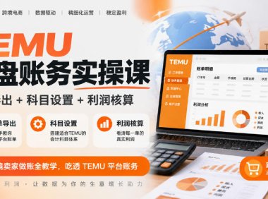 TEMU全盘账务实操课|账单导出+科目设置+利润核算,跨境卖家做账全教学,吃透TEMU平台账务