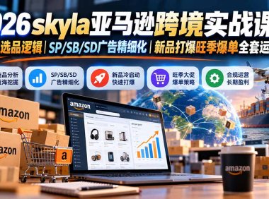 skyla亚马逊跨境实战课-更新1019:全品类选品逻辑|SP/SB/SD广告精细化|新品打爆旺季爆单全套运营教程