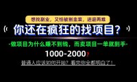 你还在疯狂的找项目?别傻了!卖项目才是真正的一本万利!怎么做,看完你全都明白!【揭秘】