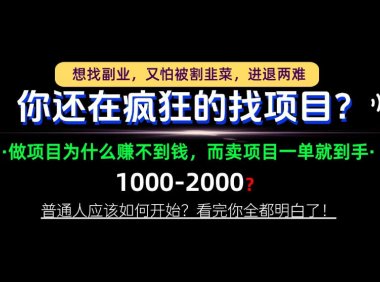 你还在疯狂的找项目?别傻了!卖项目才是真正的一本万利!怎么做,看完你全都明白!【揭秘】